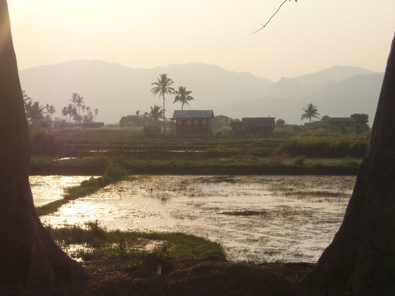 Travel - Myanmar - Inle Lake - First Boat Trip - The boat-drivers village - Rice and Cigars